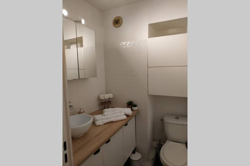 Studio Climatise, 50 M De La Prom, Wifi Nice Eksteriør bilde